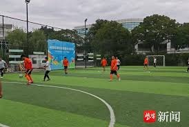 2026世界杯球星伤病问题引发关注谁将是下一个受害者